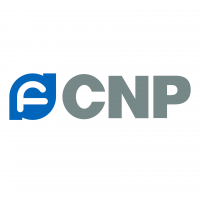 Насосы CNP